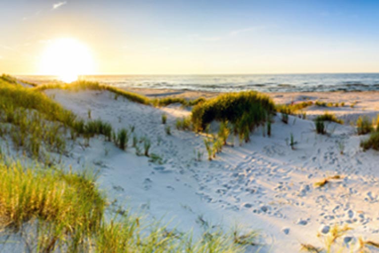 beach tours