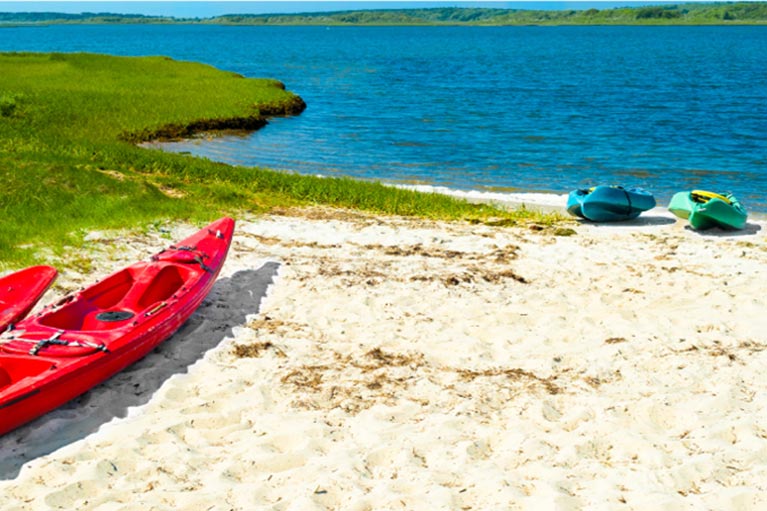 Martha's Vineyard Tours